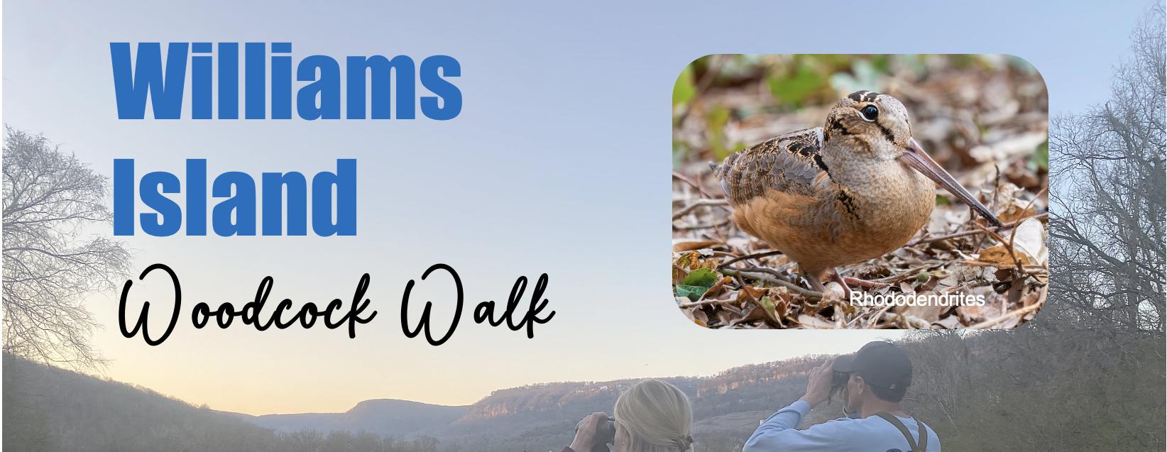 Williams Island Woodcock Walk- February 20